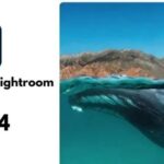 Download Photoshop Lightroom Classic 2025 Full + Hướng dẫn cài đặt